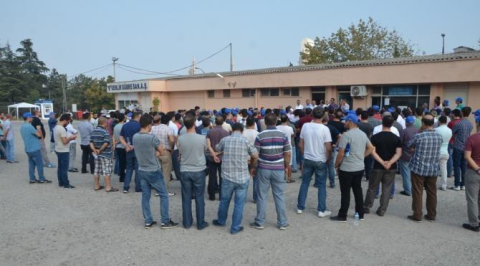Gemlik Gübre'de grev!