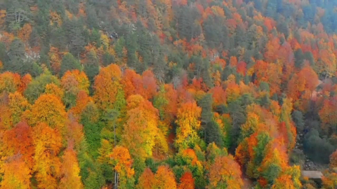 Sonbaharda renk cümbüşü