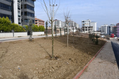2 günde 166 fidan toprakla buluştu