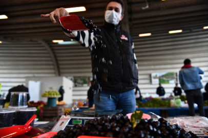 Bursa’nın organik pazarı için yeni gün