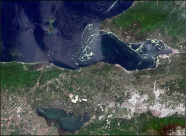 Prof. Dr. Ertuğrul Aksoy: Salya kirliliği doğal süreçlerle yok olmayacak