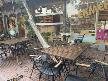 Asırlık çınarın dalı kafenin üzerine devrildi