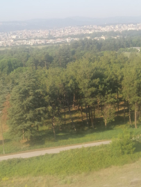 Yunuseli Havaalanı'nda imar için ağaç kesimi mi var?