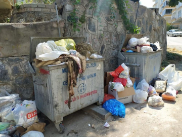 Kurban derileri ve sakatatlar çöplere atıldı, karasinek çoğaldı