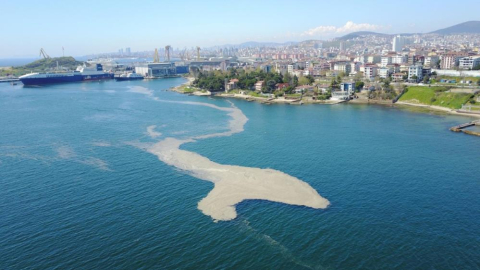Bursalı eski Milletvekili Demirel'den Bakan Kurum'a müsilaj mesajı
