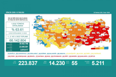 Türkiye'de yeni vaka sayısı 14 bini geçti