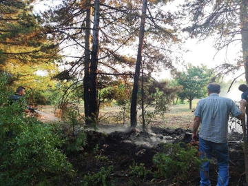 Bursa'da yıldırım orman yangınlarına sebep oldu