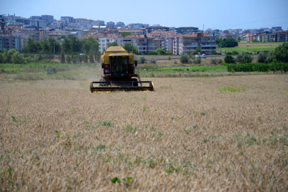 Ziraat Fakültesi’nde hasat zamanı