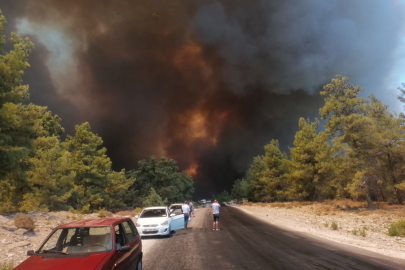 Orman yangınları için kanun teklifi sunuldu