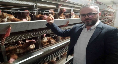 Bursa'da yumurta üreticileri tedbir alınmazsa batacak