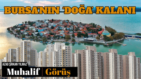 Bursa’nın ‘doğa’ kalanı - Azad Şirkan Yılmaz￼