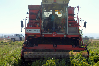 Türkiye’de ilk kez Bursa’da denendi, işçi maliyetleri yüzde 90 düştü