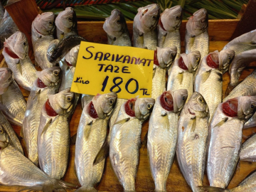 Balık tezgahlarını "iklim" vurdu: Fiyatlar cep yakıyor!