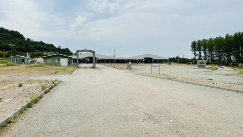 Bursa'daki hayvan pazarlarında şap karantinası