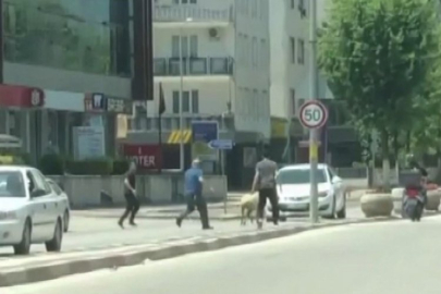 Bursa’da sahibinden kaçan koyun trafiği birbirine kattı