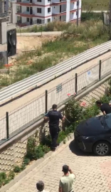 Bursa'da evin bahçesine giren yılan paniğe neden oldu