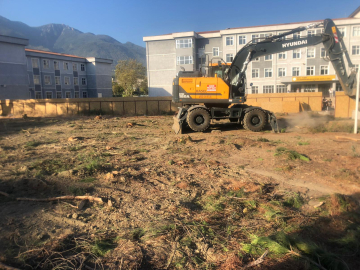 Bursa'da anaokulu yapımı gerekçesiyle 40 yıllık ağaçlar kesildi