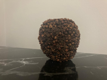 Aşkın ve barışın sembolü Karanfil Bezeli Elma! 