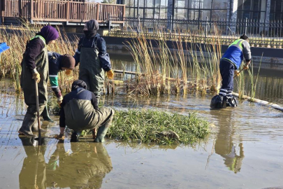 Büyükşehir’den Gökdere Millet Bahçesi’ne bilimsel dokunuş