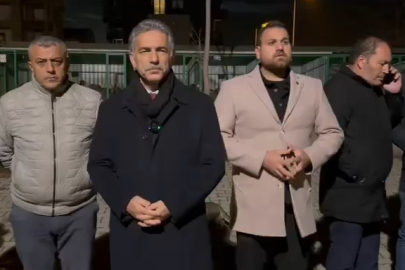 Gemlik'te hayvan bakım evinde aç kalan köpekler, ölen köpeği yedi