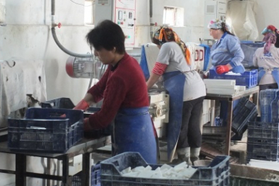 ‘İnsanca yaşamak için savaşmak gerekiyor’