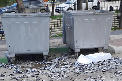 Bursa'da bozuk balıkları yola döktüler