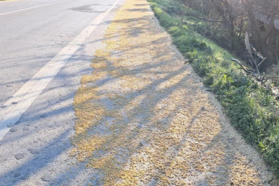 Bursa'da tonlarca fasulye yollara saçıldı