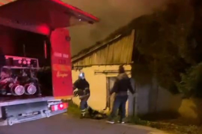 Bursa'da hayvan çiftliğinde çıkan yangında çok sayıda hayvan telef oldu