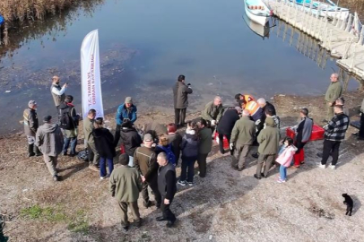 Bursa'da yaban ördekleri suyla buluştu