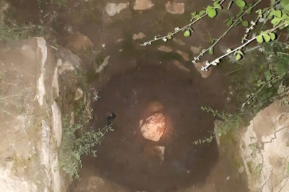 Bursa'da bir kişi yıllardır aranan 1. Konsil'in yerini bulduğunu iddia ediyor
