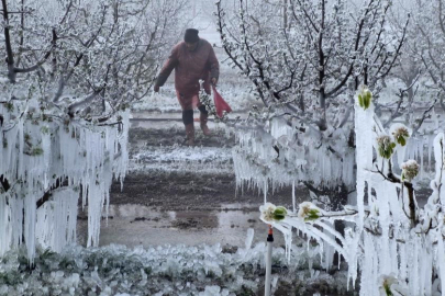 Zirai Don Meclis Araştırma Komisyonu 14 Mayıs'ta toplanıyor