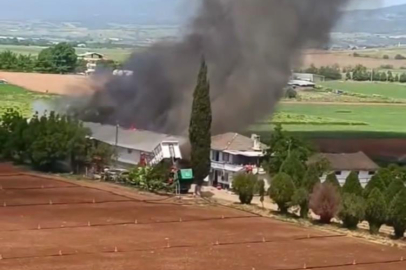 Bursa Yenişehir’de hayvan çiftliğinde büyük yangın