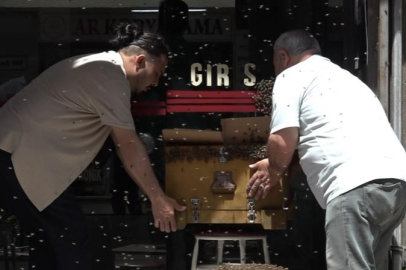 Bursa'da binlerce arı iş merkezini bastı