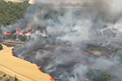 Bursa'da buğday tarlaları alevlere teslim oldu