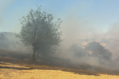 Bursa Kestel’de orman yangını: Müdahale sürüyor
