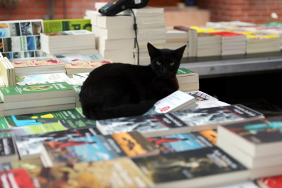 Gemlik Kitap Limanı günleri başlıyor