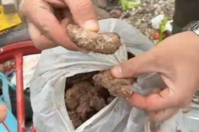 Bursaspor taraftarına bozuk köfteleri yedireceklerdi