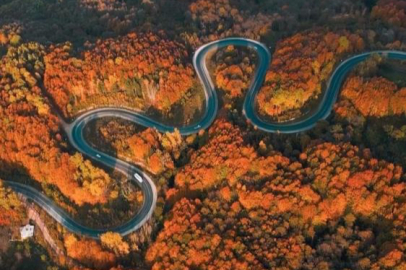 Bursa'da sonbaharla ormanlara gelen renk cümbüşü