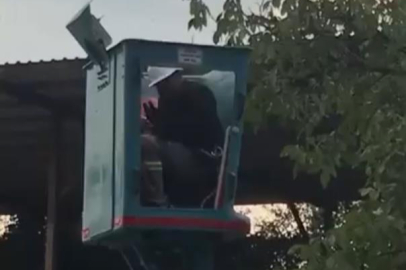 Bursa'da vinç üstünde "arı alarmı"