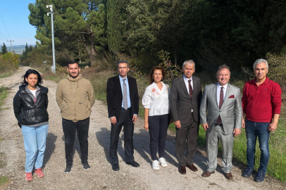 Bursa tarımına akademik bakış