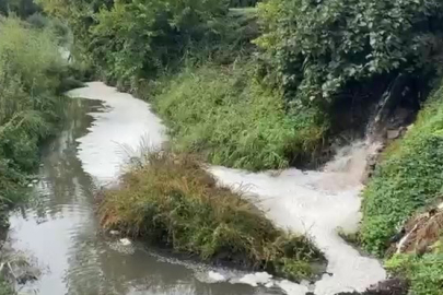 Gemlik Körfezi'nde kirlilik endişeye yol açıyor