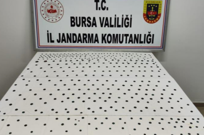 Jandarma'dan İznik'te tarihi operasyon