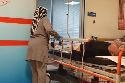 Bursa'da bir kişi toplayıp yediği mantardan zehirlendi