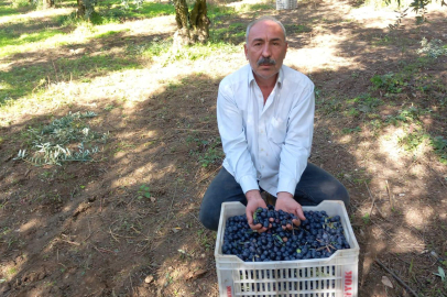 CHP’li Eşiyok’tan Marmarabirlik’e sert tepki: Bir avuç üyeli kooperatif kadar olamadınız