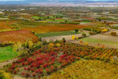 Sonbaharın renk cümbüşü Uludağ eteklerinde