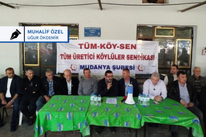 Marmarabirlik üreticiyi değil tüccarı koruyor