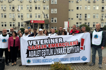 Veteriner sağlık emekçileri adalet eşitlik ve liyakat istiyor!