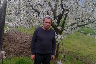 Bursa'da budadığı ağaçtan düşen adam hayatını kaybetti