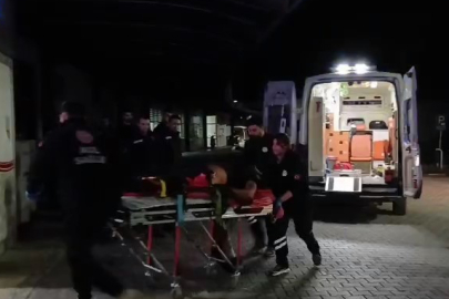 Gemlik’te zeytinlikte bıçaklı saldırı: 1 ağır yaralı