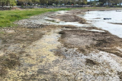 İznik Gölü kuruyor: Cargill'in yer altı sularından yılda 1 milyon metreküpten fazla su çektiği ileri sürülüyor